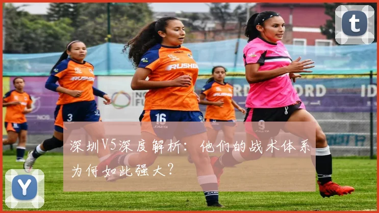 深圳V5深度解析：他们的战术体系为何如此强大？