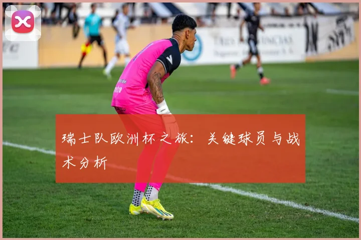 瑞士队欧洲杯之旅：关键球员与战术分析