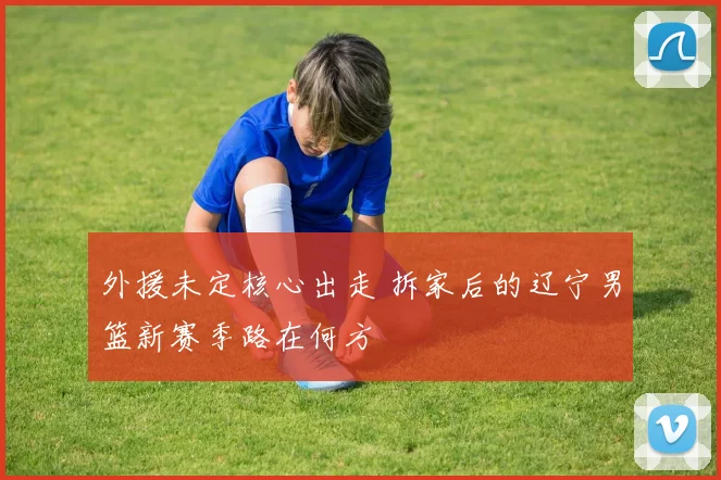 外援未定核心出走 拆家后的辽宁男篮新赛季路在何方