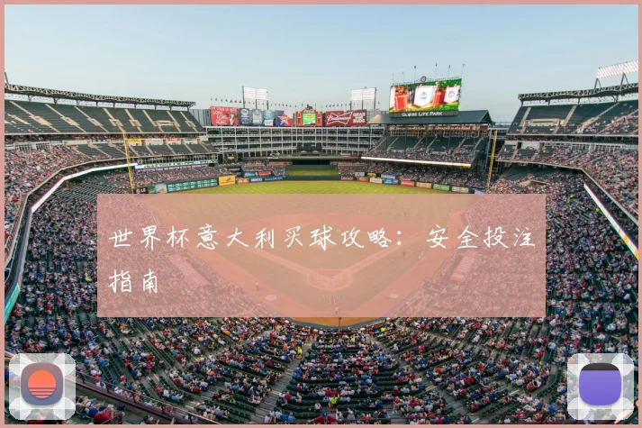 世界杯意大利买球攻略：安全投注指南